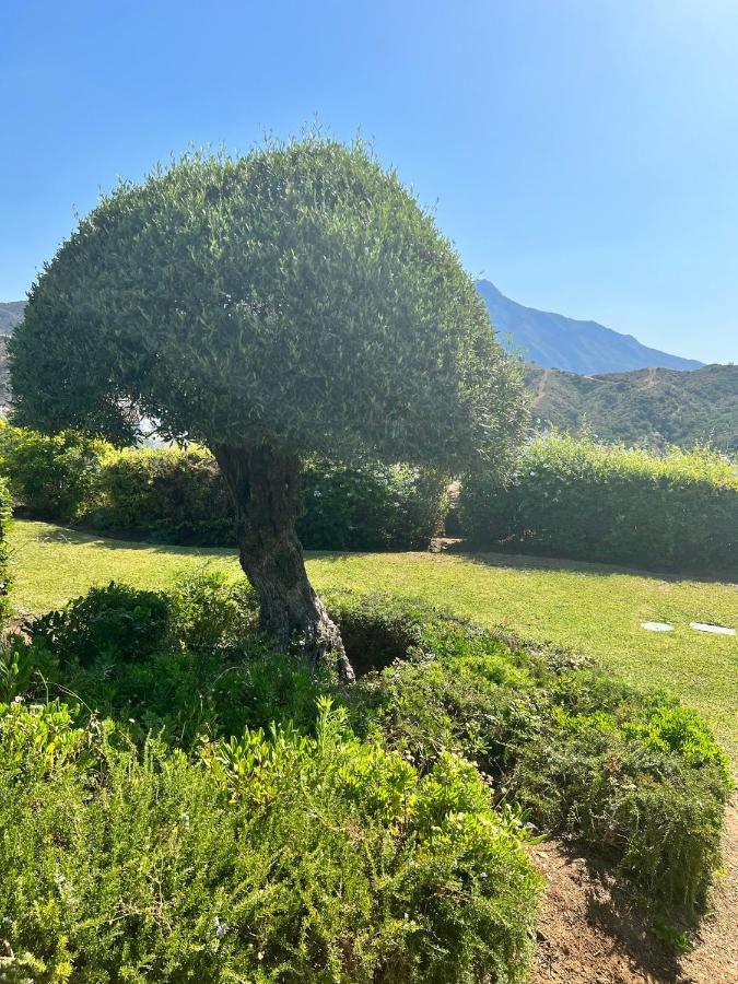 Altos De La Quinta Ii